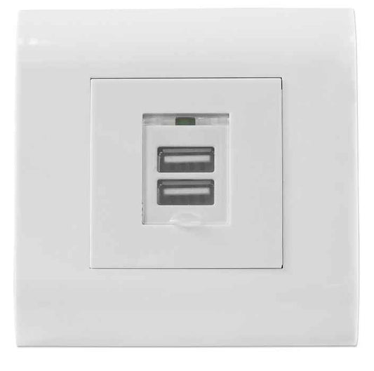 2-Port USB-A Wall Outlet with Faceplate Image 1
