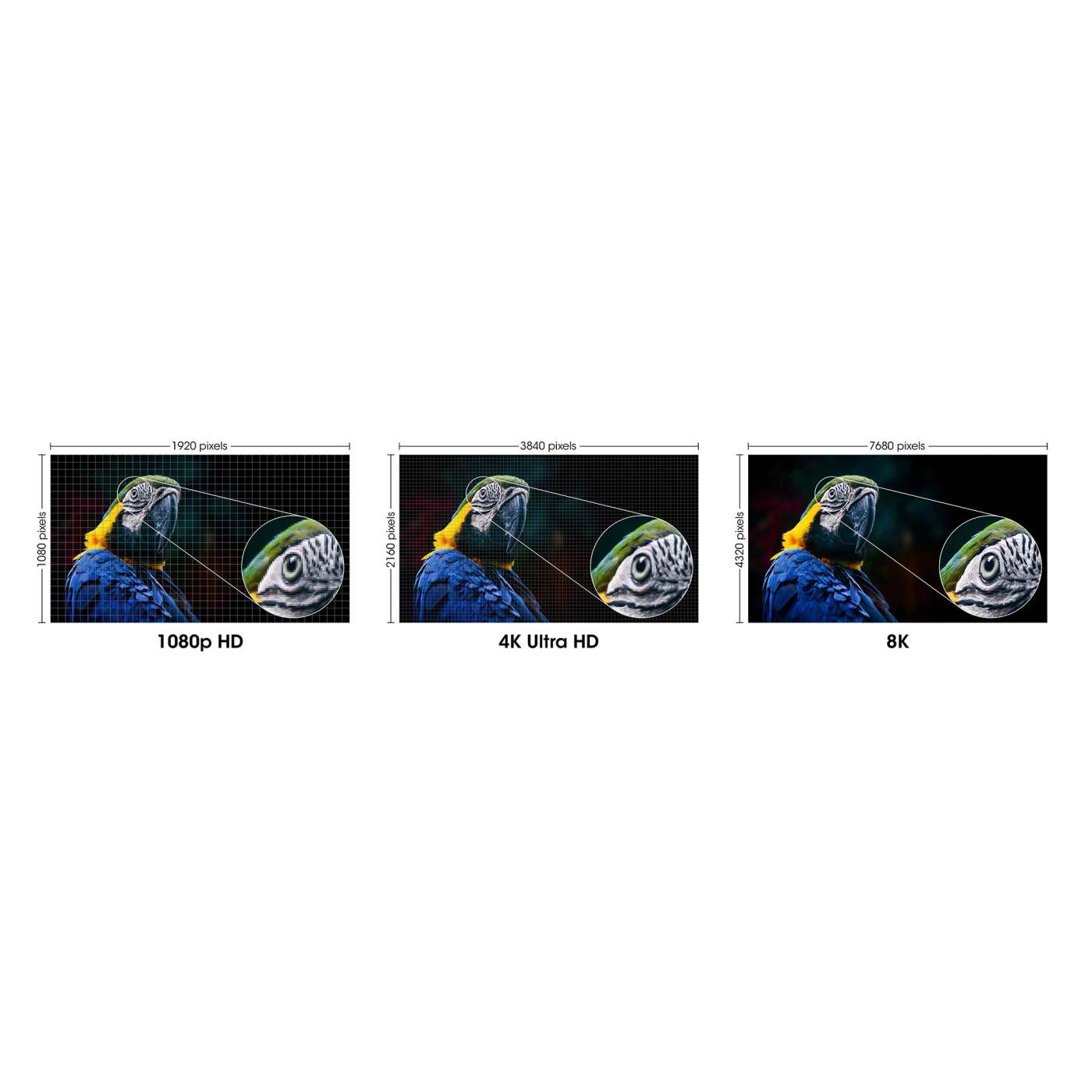 8K@60Hz Certified Ultra High Speed HDMI Cable with Ethernet, 1 m (3 ft.) Image 8
