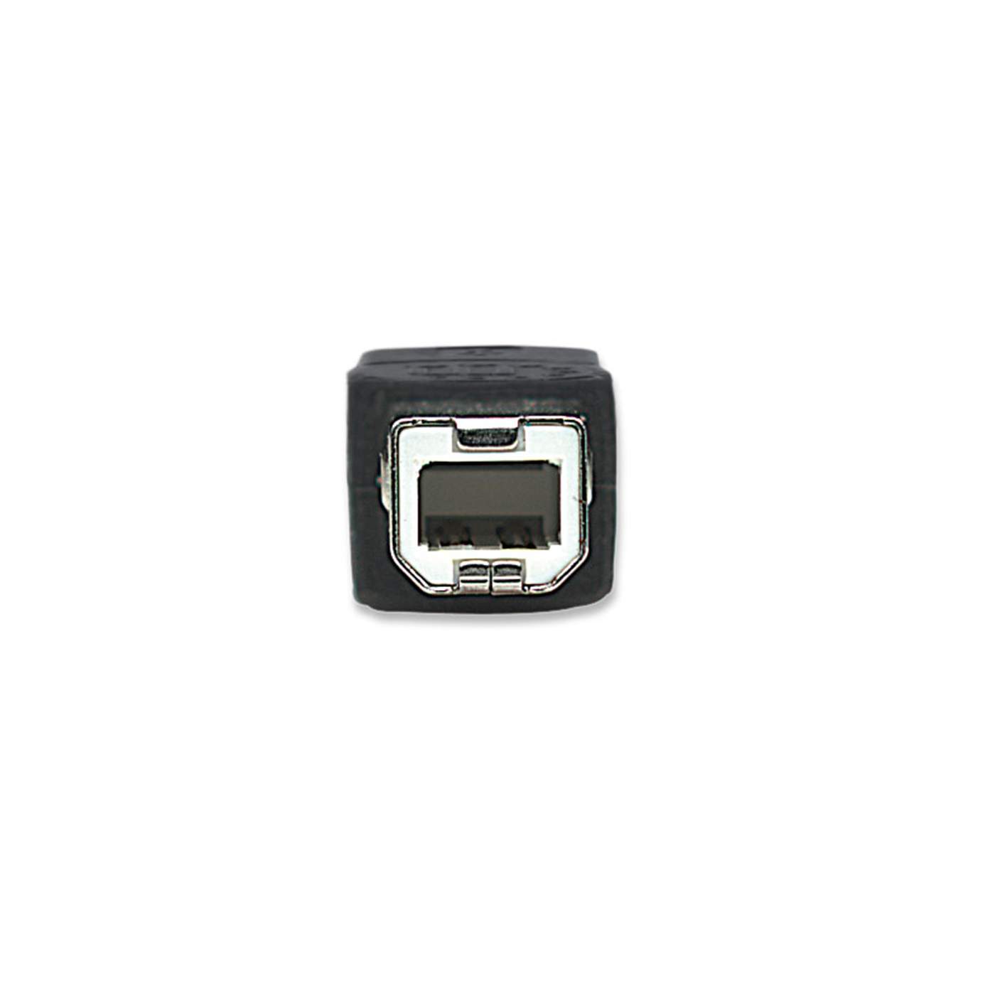 Hi-Speed USB B Device Cable Image 4
