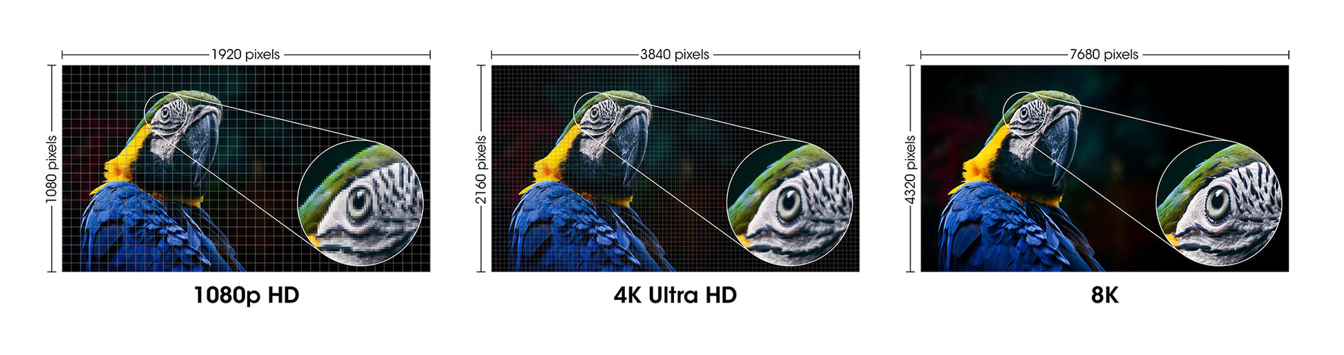 8K@60Hz Certified Ultra High Speed HDMI Cable with Ethernet, 3 m (10 ft.) Image 8