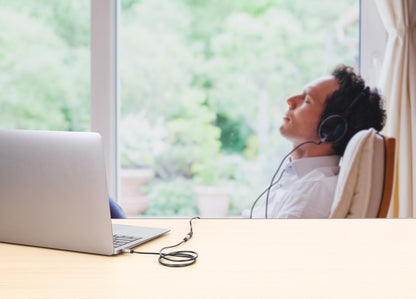 Stereo Audio Aux Extension Cable Image 10