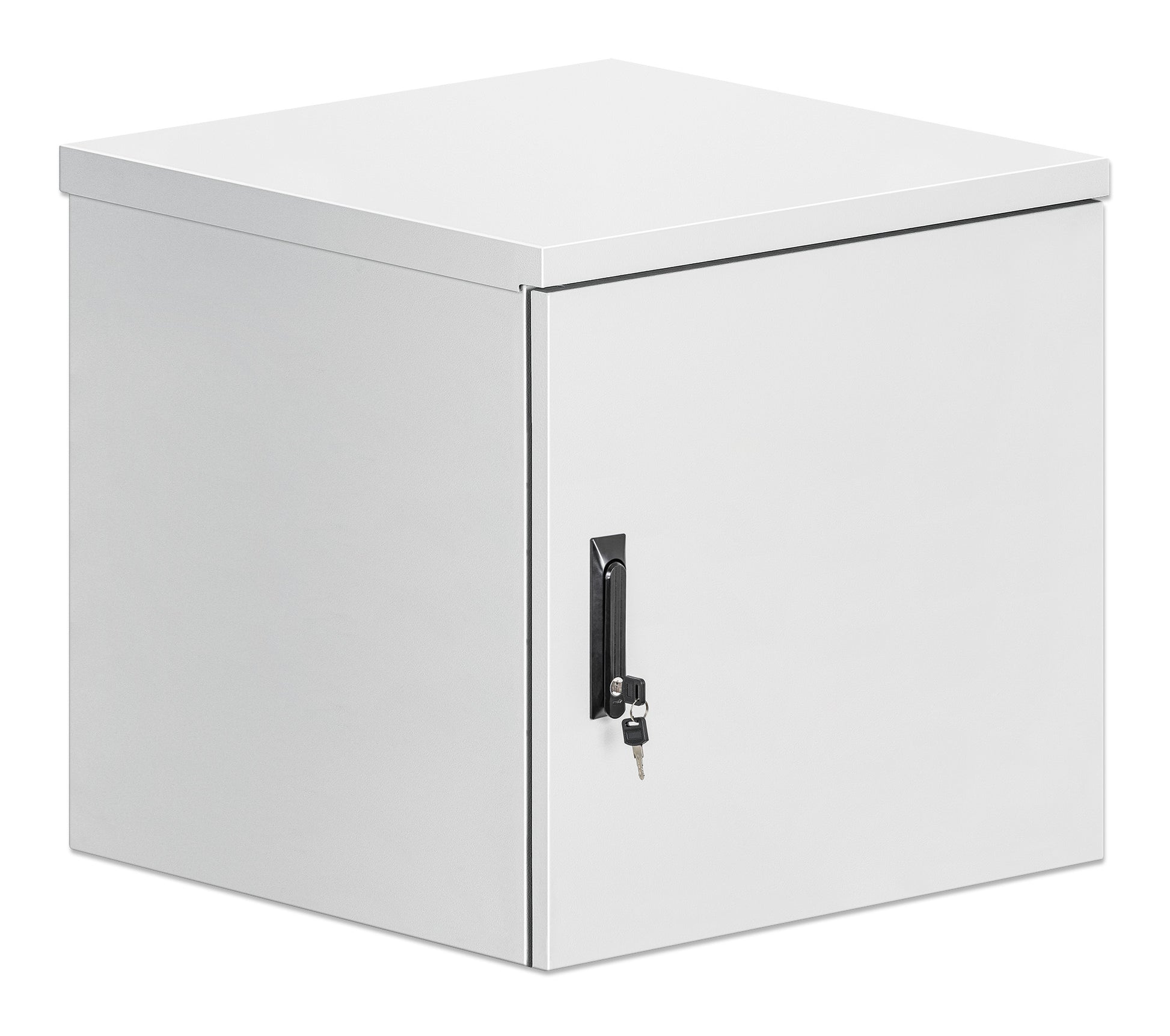 Industrial IP55 19" Wall Mount Cabinet with Integrated Fans, 12U Image 2