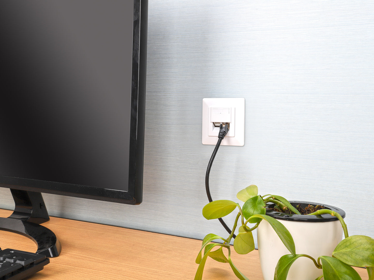 2-Port Cat6 10G Shielded RJ45 Wall Plate Image 10