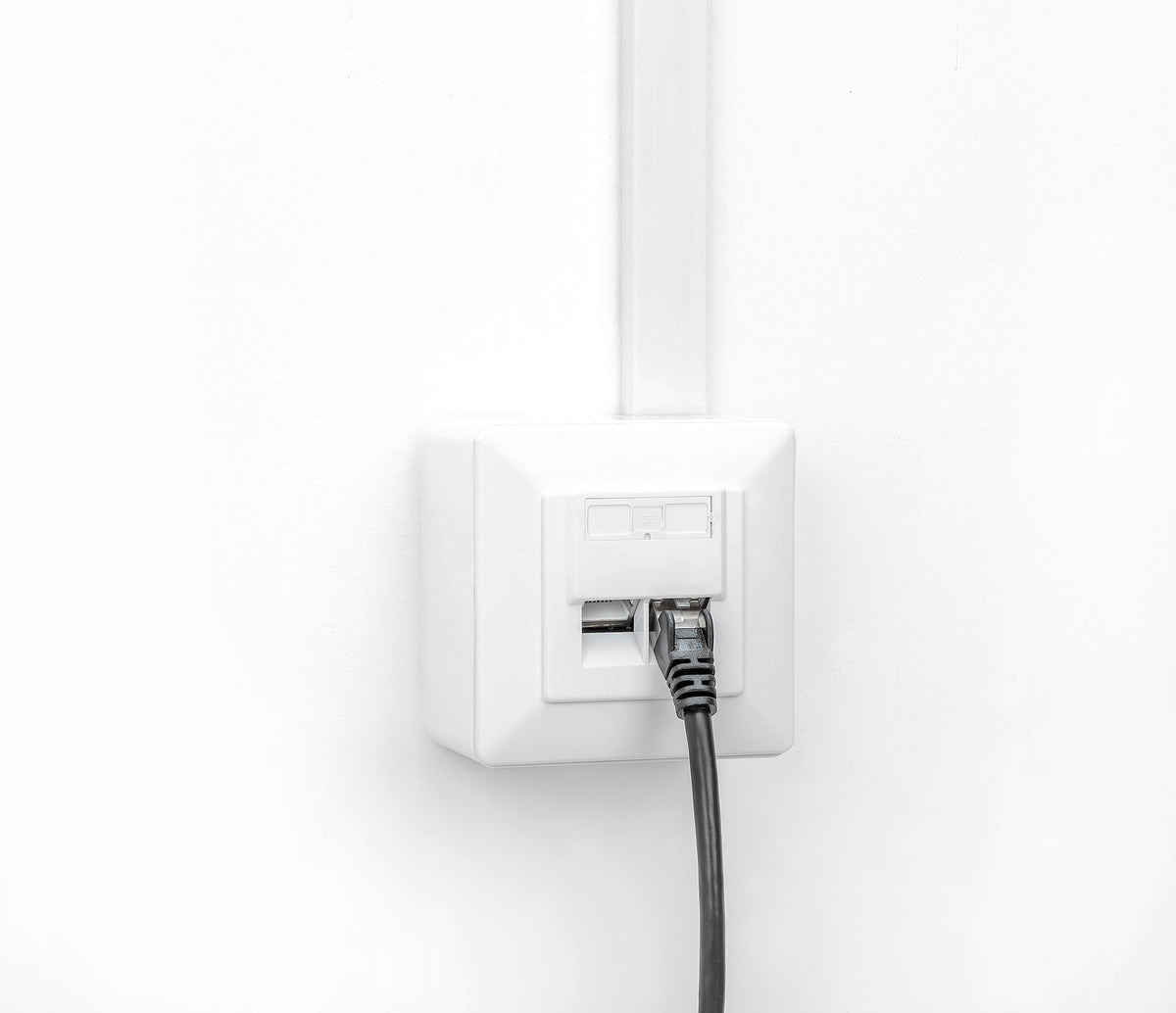 2-Port Cat6 10G Shielded RJ45 Wall Plate Image 9