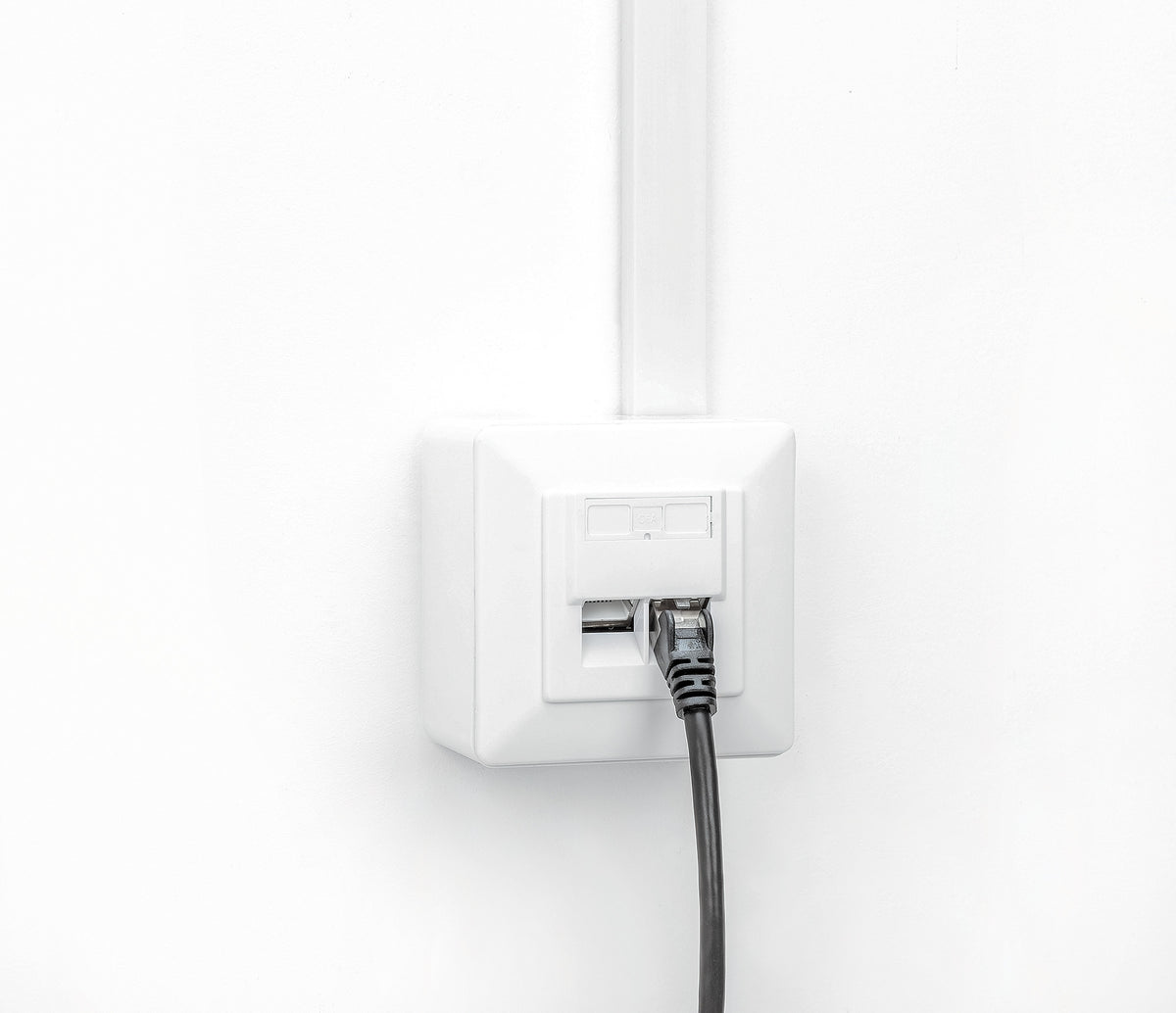 2-Port Cat6a 10G Shielded RJ45 Wall Plate Image 9